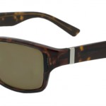 zealot_tortoise_tint (1)