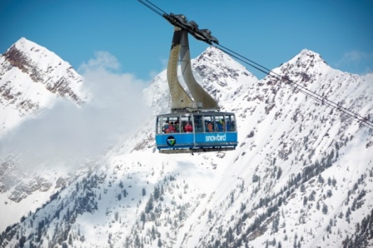 Snowbird2