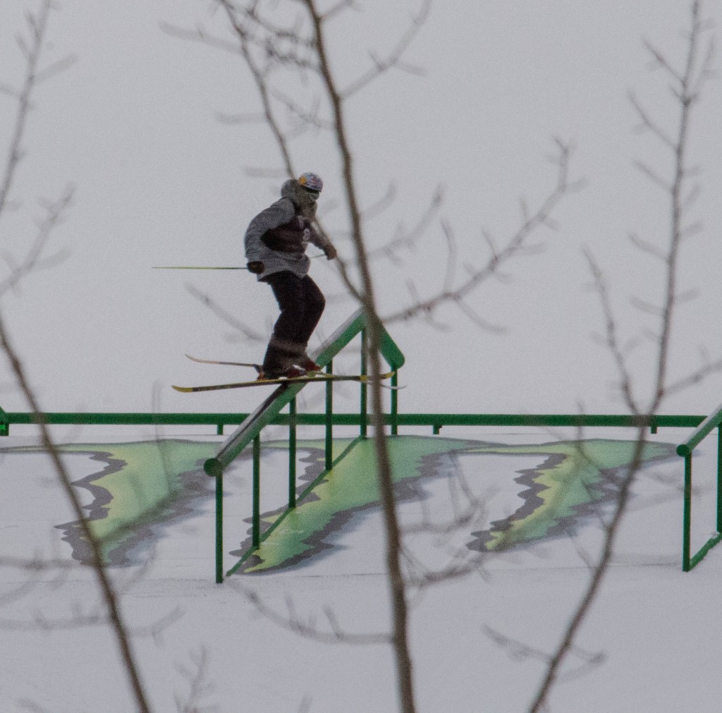Nick Goepper, Men's Ski Slopestyle, X Games Aspen 2015